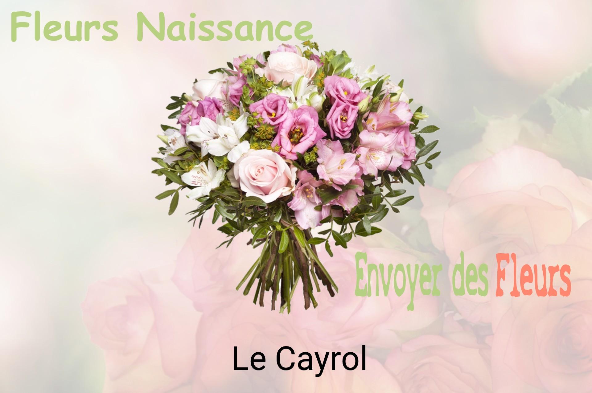 Bouquet de fleurs de naissance livré à Le Cayrol