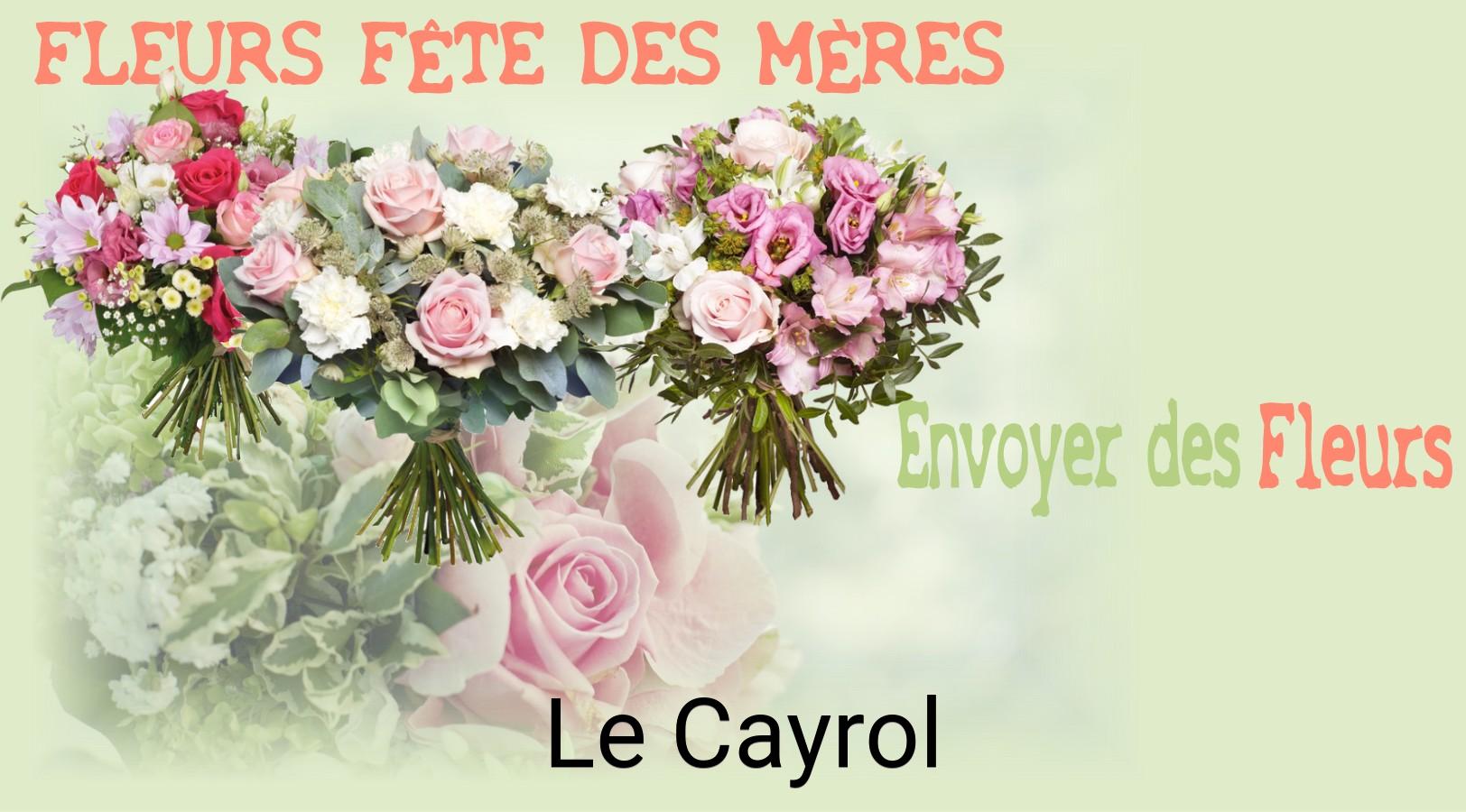 Bouquet de Fête des Mères livré à Le Cayrol